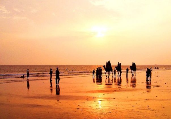31-interesting-facts-about-gujarat-ohfact