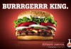20 Interesting Facts About Burger King burger king