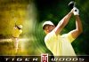 17 Interesting Facts About Tiger Woods Tiger Woods