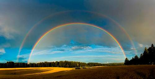 five rainbows