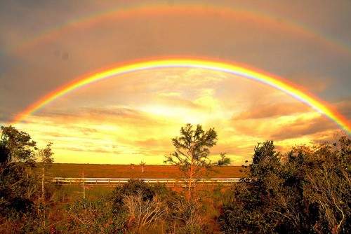 QI: some quite interesting facts about rainbows