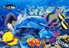 20 Interesting Facts About Fish Fishes