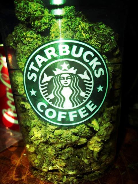 Maconha e Starbucks