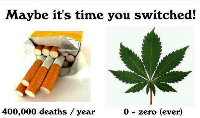 Marijuana vs Cigarette