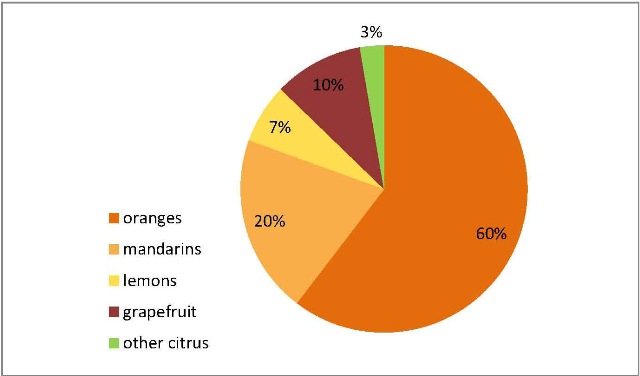 Interesting about orange