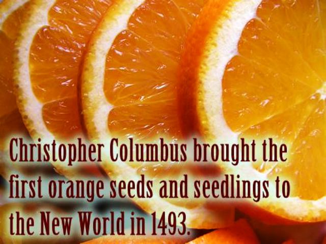 Interesting about orange