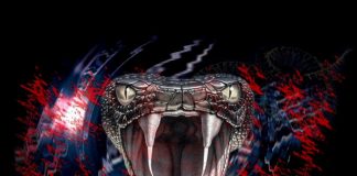 19 Interesting facts about Snakes Snakes