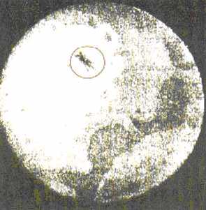 the first photograph of a UFO, 1883