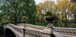 15 Interesting Facts About Central Park