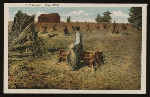 Kentucky-Hemp-farm