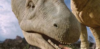 7 Interesting Facts About Argentinosaurus