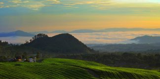 10 Interesting Facts About Bandung