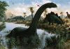 8 Interesting Facts About Brontosaurus
