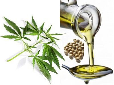 contend-Hemp-Seed-Oil