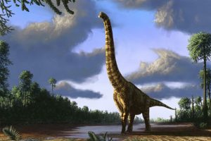 11 Interesting Facts About Sauropods - OhFact!