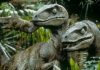 10 Interesting Facts About Velociraptor