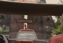 20 Interesting Facts About Jurassic Park