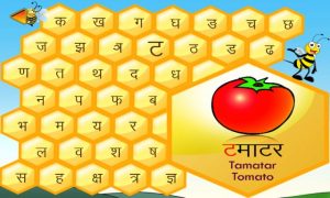 INTERESTING FACTS ABOUT HINDI LANGUAGE visual data 2