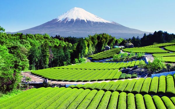 Monte Fuji, Japão