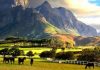 19 Interesting Facts About South Africa Winelands of Cape Town, South Africa-compressed