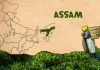 17 Interesting Facts About Assam Assam