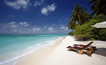 37 Interesting Facts About The Dominican Republic A beach in Dominican Republic