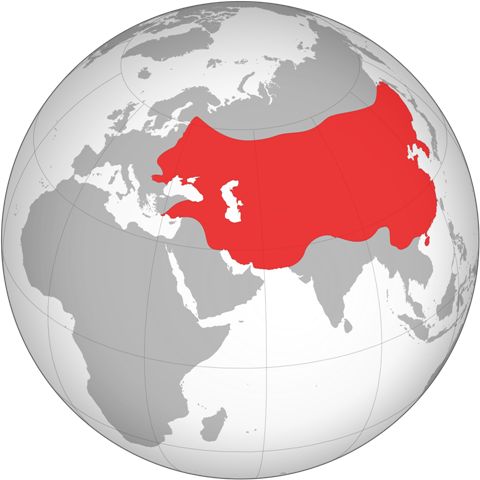 The Mongol Dynasty