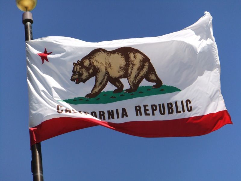 The Flag Of California