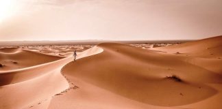 30 Interesting Facts About The Sahara Desert Sahara Desert